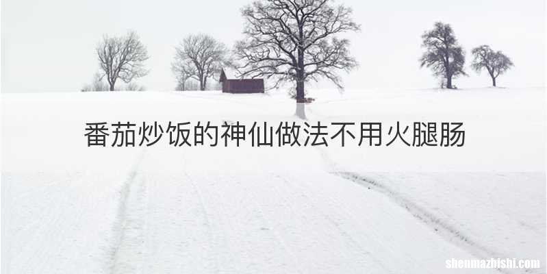 番茄炒饭的神仙做法不用火腿肠