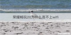 荣耀畅玩20为什么连不上wifi