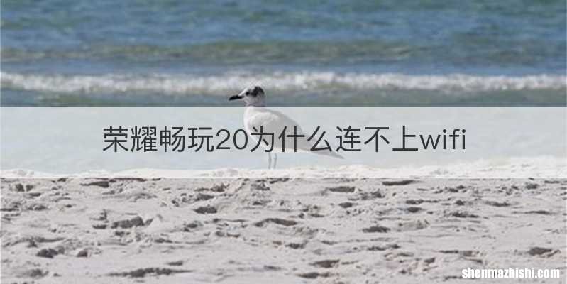 荣耀畅玩20为什么连不上wifi