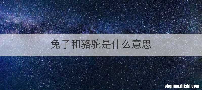 兔子和骆驼是什么意思