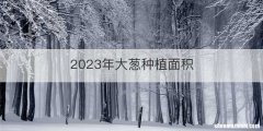2023年大葱种植面积