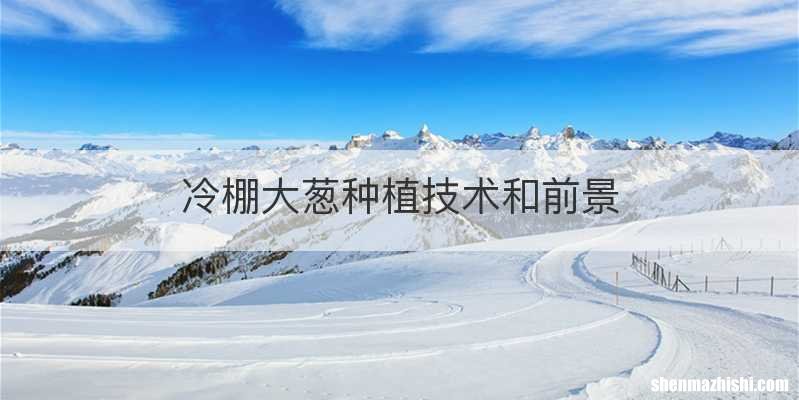 冷棚大葱种植技术和前景