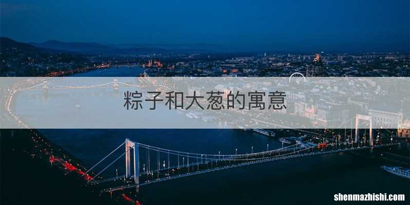 粽子和大葱的寓意