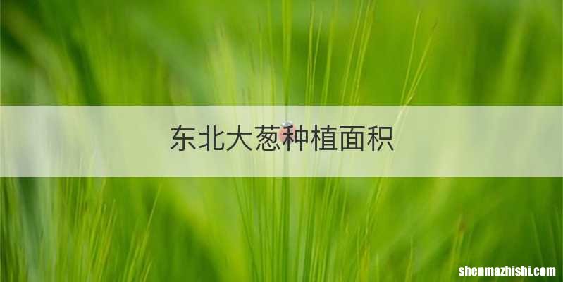 东北大葱种植面积
