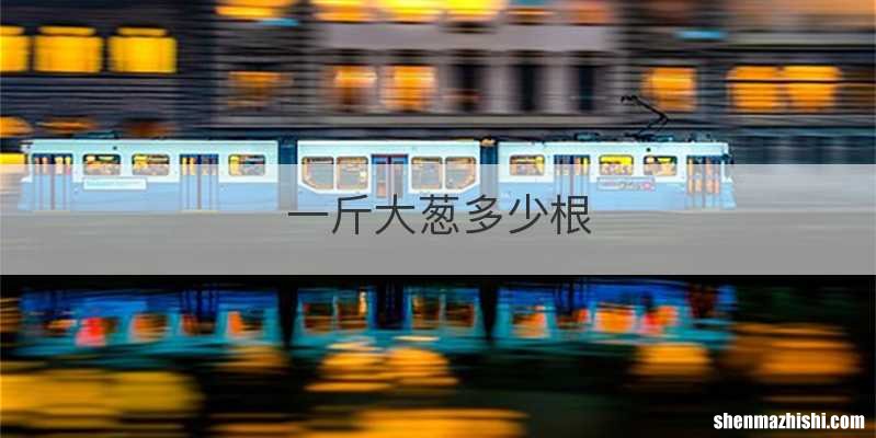 一斤大葱多少根