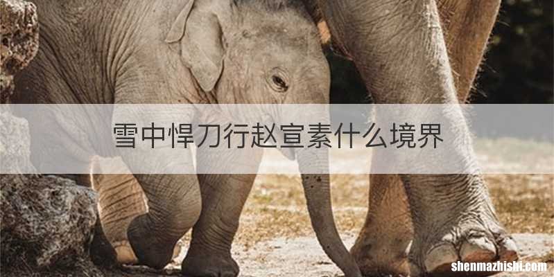 雪中悍刀行赵宣素什么境界