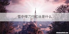 雪中悍刀行红丝是什么
