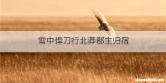 雪中悍刀行北莽郡主归宿