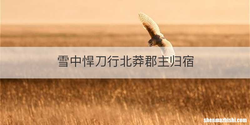 雪中悍刀行北莽郡主归宿