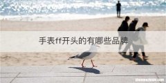 手表ff开头的有哪些品牌