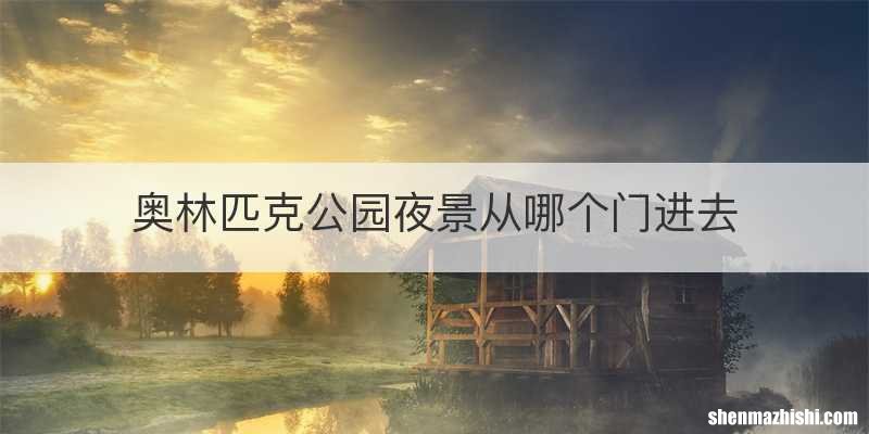 奥林匹克公园夜景从哪个门进去