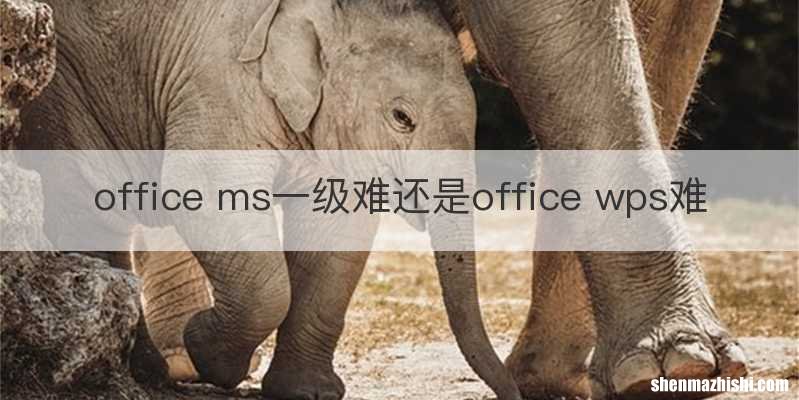 office ms一级难还是office wps难