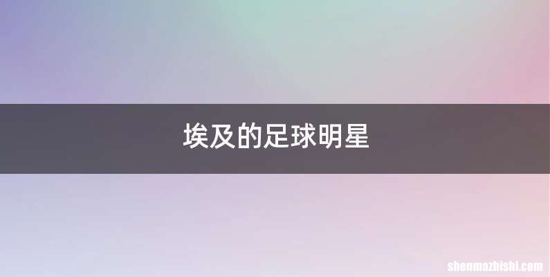 埃及的足球明星