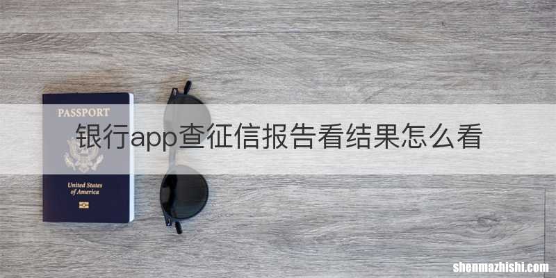 银行app查征信报告看结果怎么看
