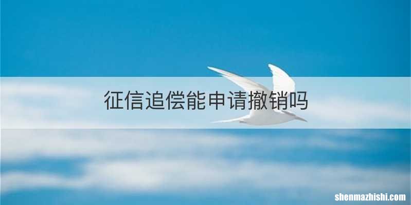 征信追偿能申请撤销吗