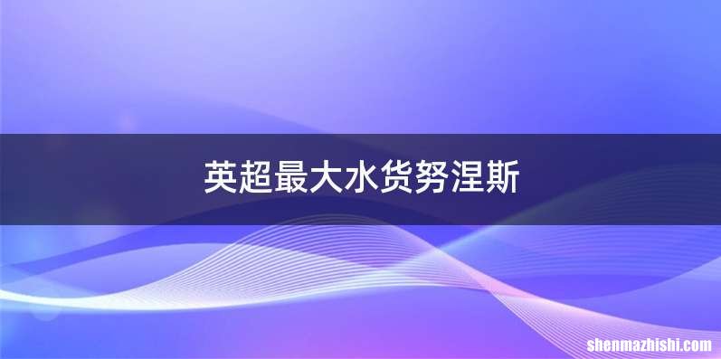 英超最大水货努涅斯