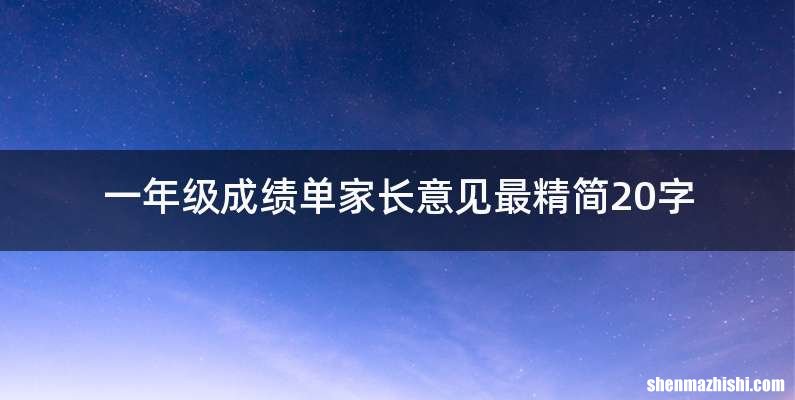 一年级成绩单家长意见最精简20字