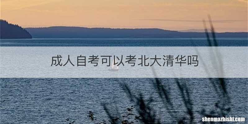 成人自考可以考北大清华吗