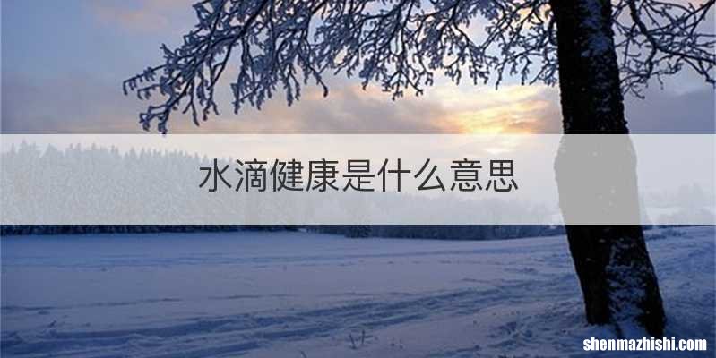 水滴健康是什么意思