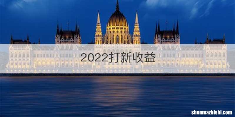 2022打新收益