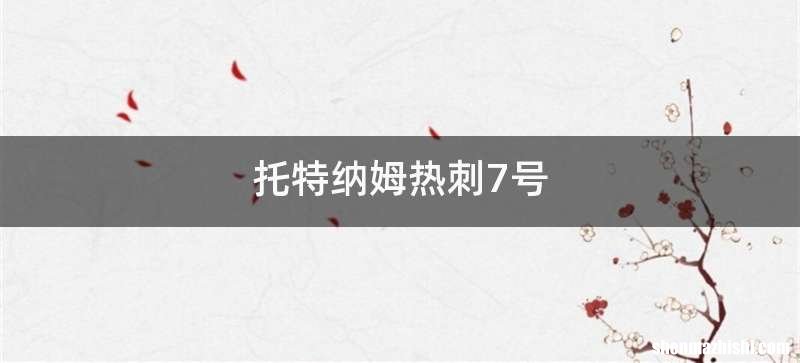托特纳姆热刺7号