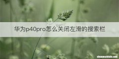 华为p40pro怎么关闭左滑的搜索栏