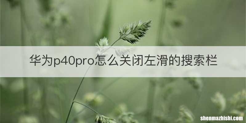华为p40pro怎么关闭左滑的搜索栏