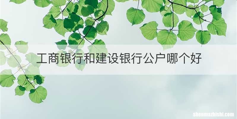 工商银行和建设银行公户哪个好