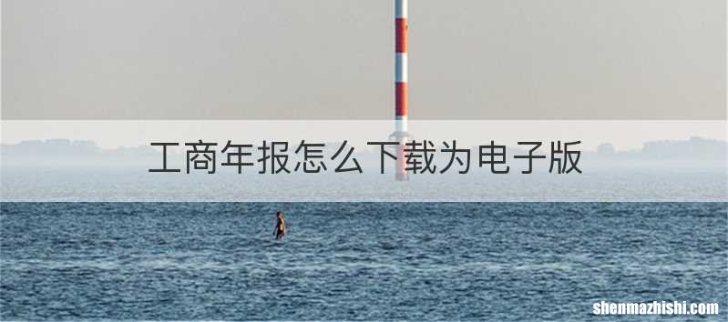 工商年报怎么下载为电子版