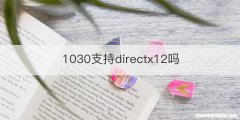 1030支持directx12吗