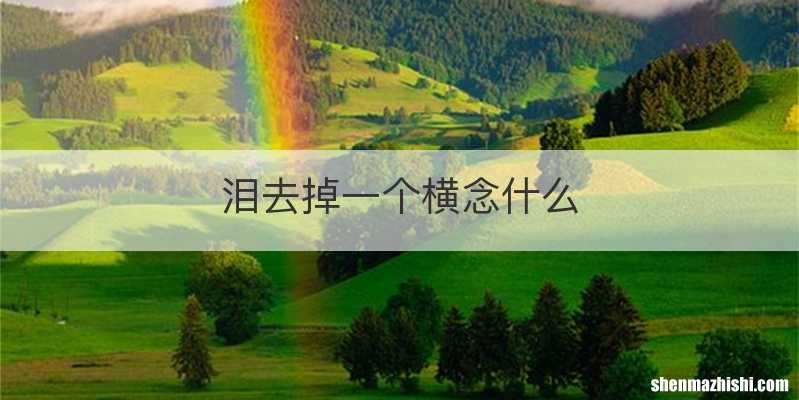 泪去掉一个横念什么