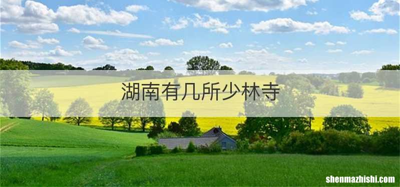 湖南有几所少林寺