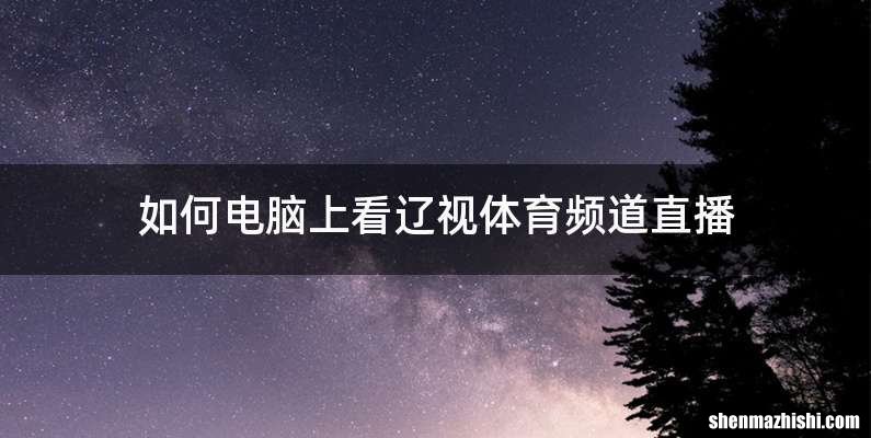 如何电脑上看辽视体育频道直播