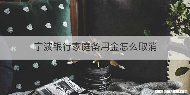 宁波银行家庭备用金怎么取消