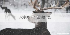 火字旁一个正读什么