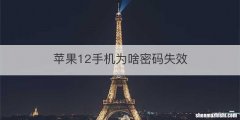 苹果12手机为啥密码失效
