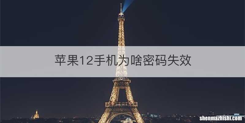 苹果12手机为啥密码失效