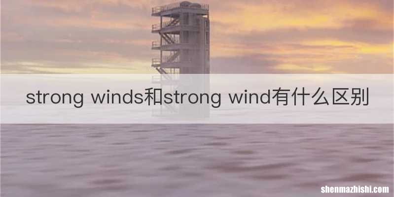 strong winds和strong wind有什么区别