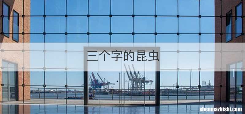 三个字的昆虫