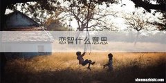恋智什么意思