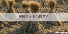 校园文化分为哪三个