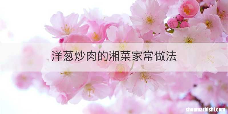 洋葱炒肉的湘菜家常做法