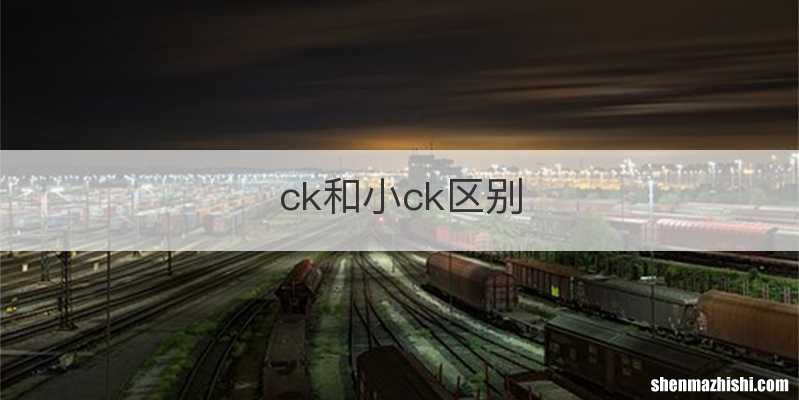 ck和小ck区别