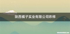 陕西橘子实业有限公司咋样