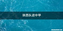 陕西队进中甲