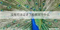 没有司法证进了检察院干什么