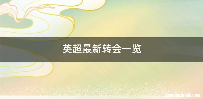 英超最新转会一览