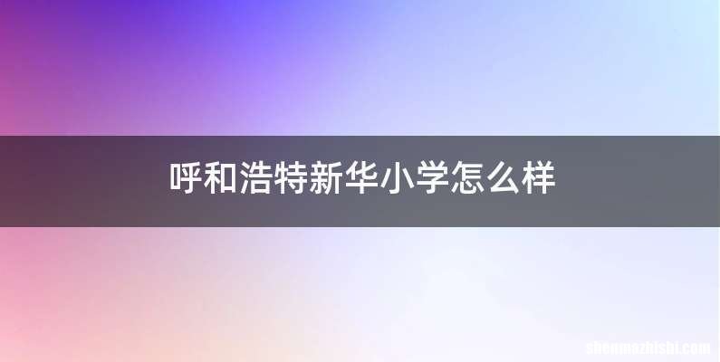 呼和浩特新华小学怎么样