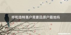 呼和浩特落户需要回原户籍地吗