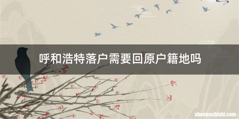 呼和浩特落户需要回原户籍地吗